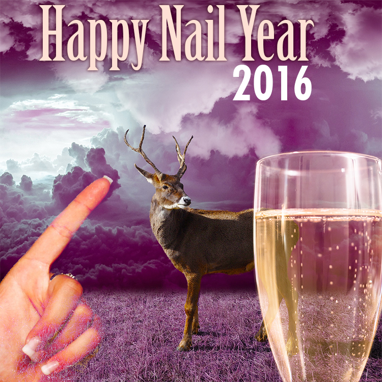 Buff&Polish---New-Year-2016-copy